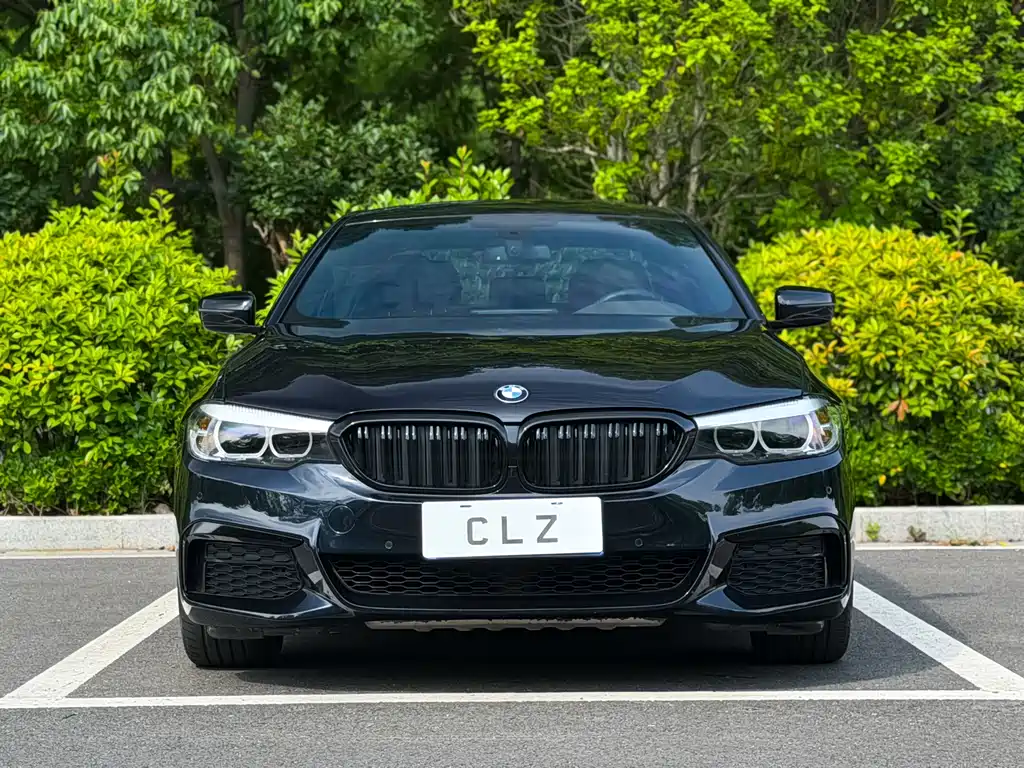 BMW 5 Series 5 2020 525Li M Sport