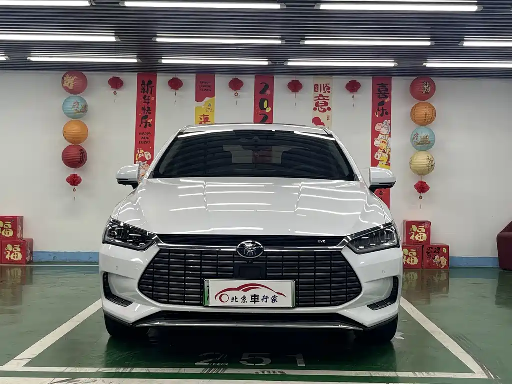 BYD Qin Pro NEV — миниатюра 2