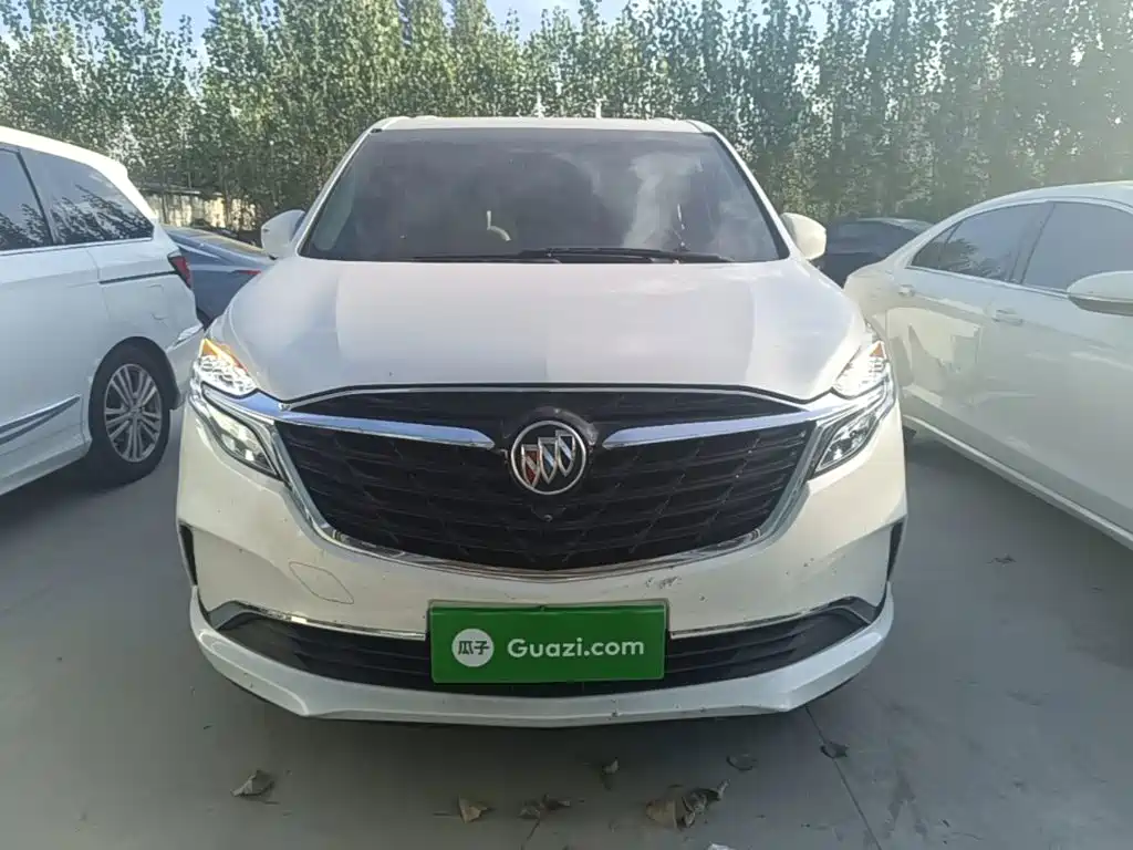 Buick GL8 — миниатюра 3