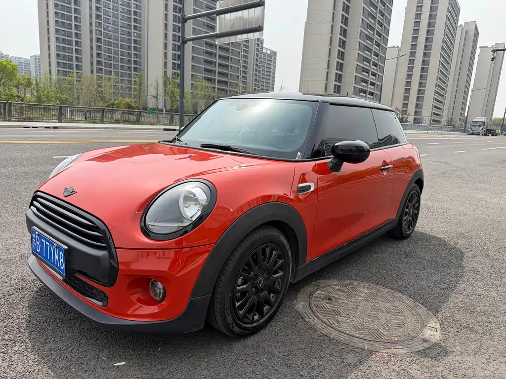 Mini Mini 2020