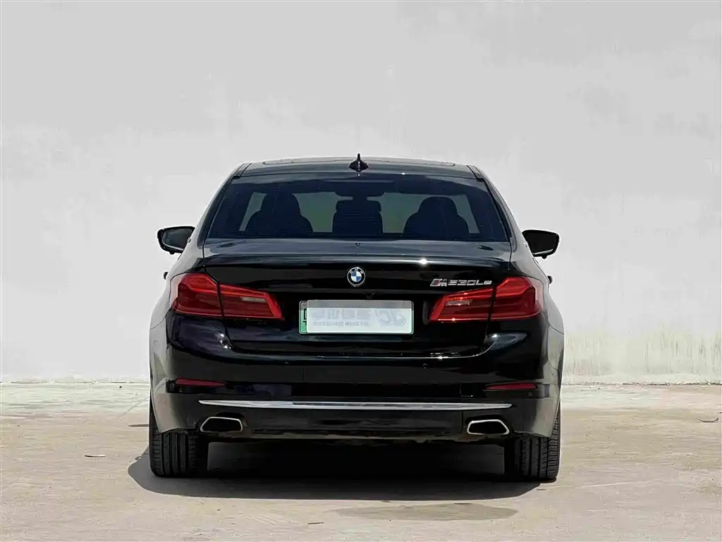 BMW 5 Series 5 2019 530Le Luxury