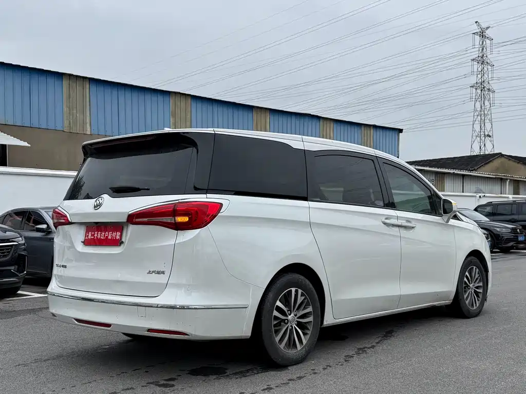 Buick GL8 — миниатюра 16