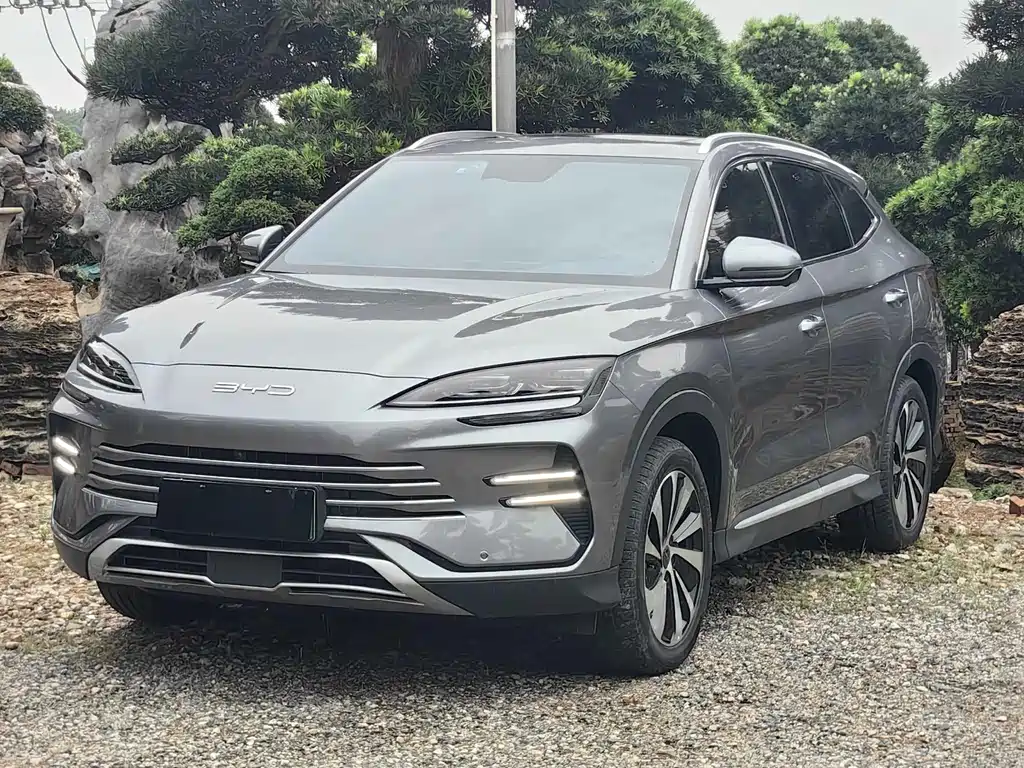 Byd PLUS New Energy 2024