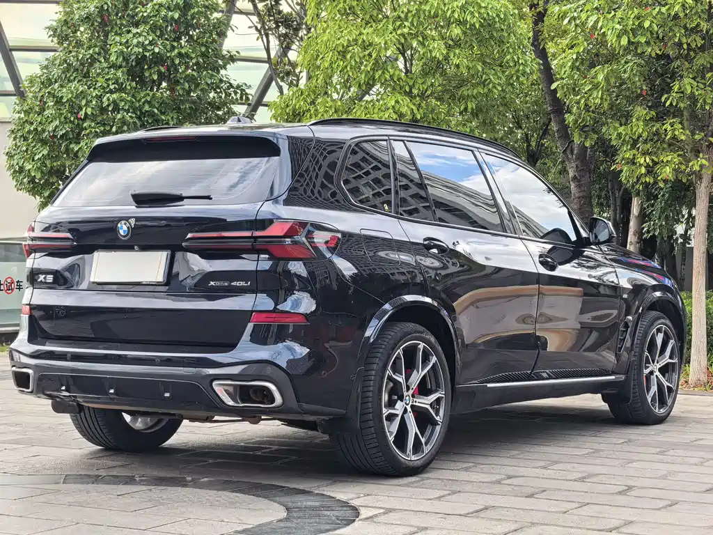 BMW X5 — миниатюра 6