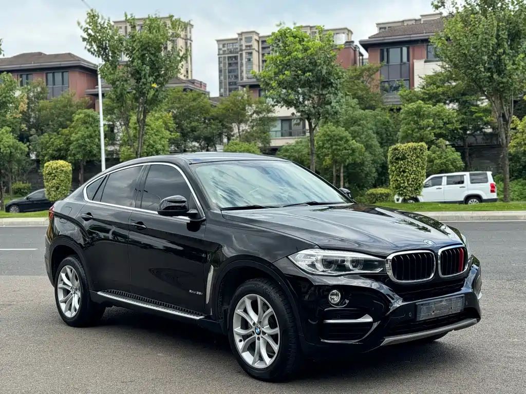 BMW X6 — миниатюра 3