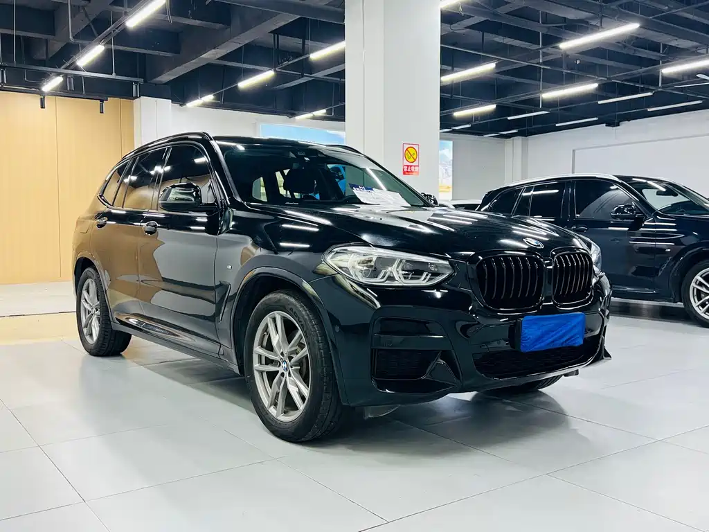 BMW X3 — миниатюра 3