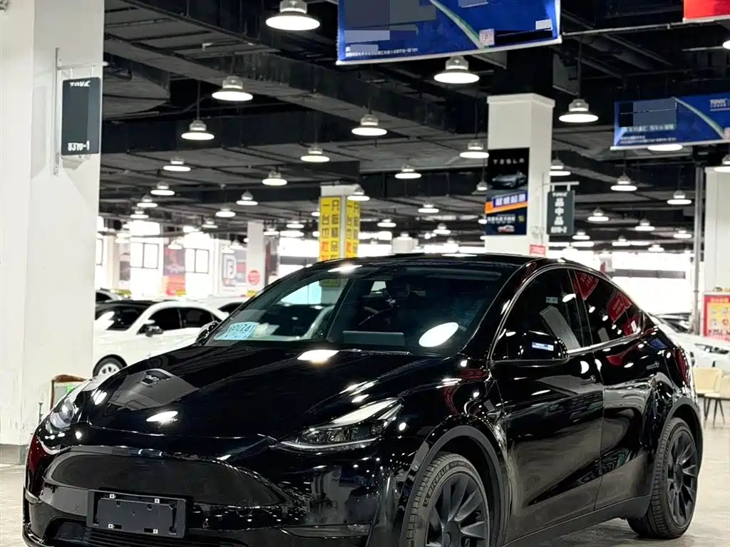 Tesla Model Y 2021 Standard Range RWD Edition