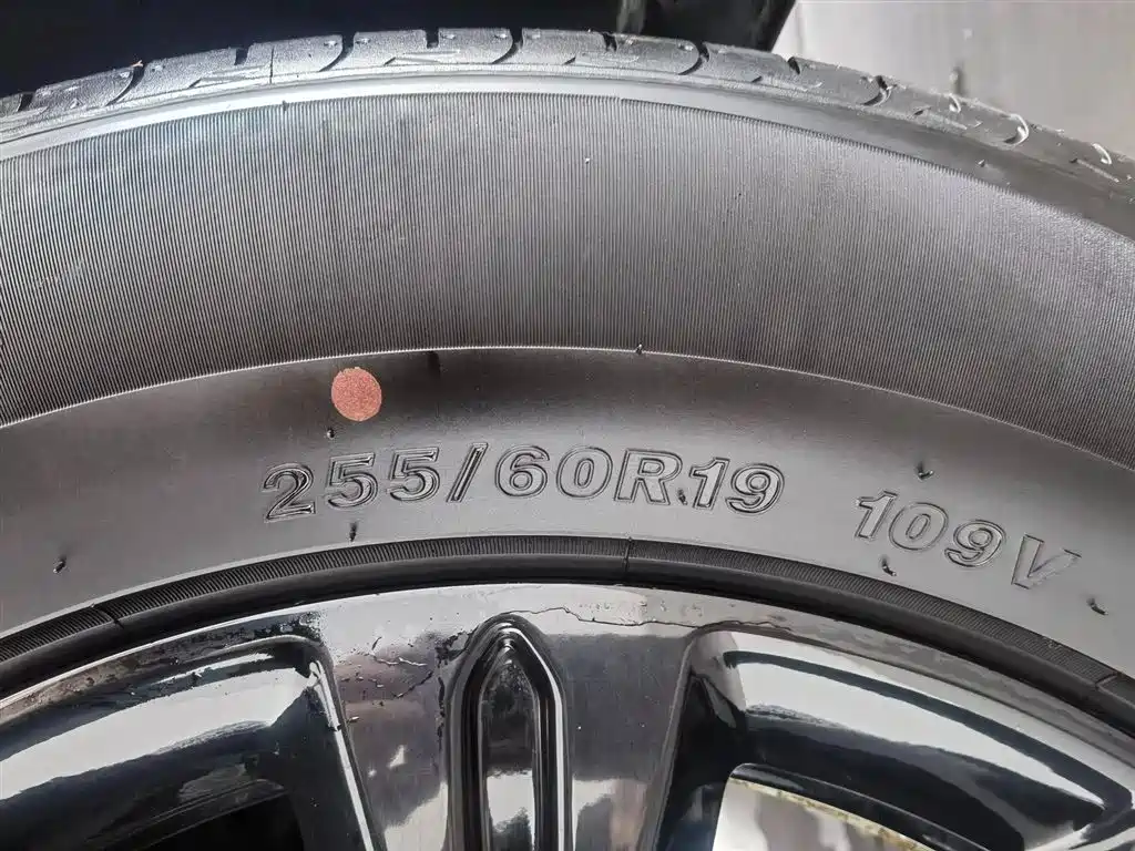 HAVAL RAPTORS NEW ENERGY