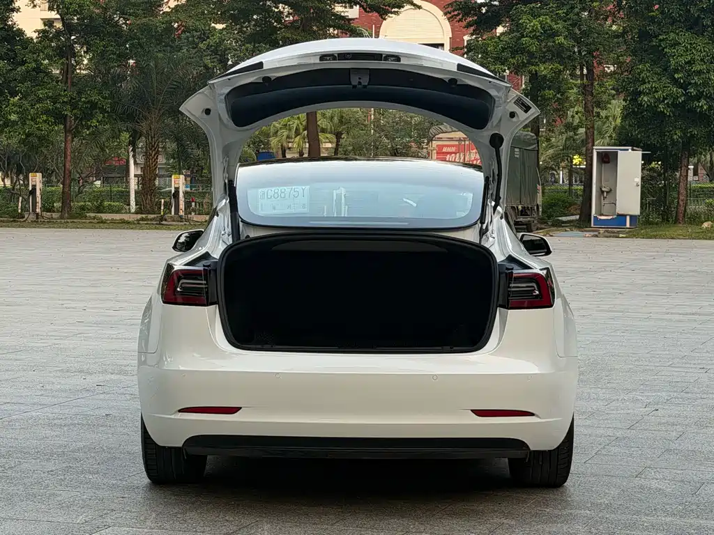Tesla Model 3 — миниатюра 17