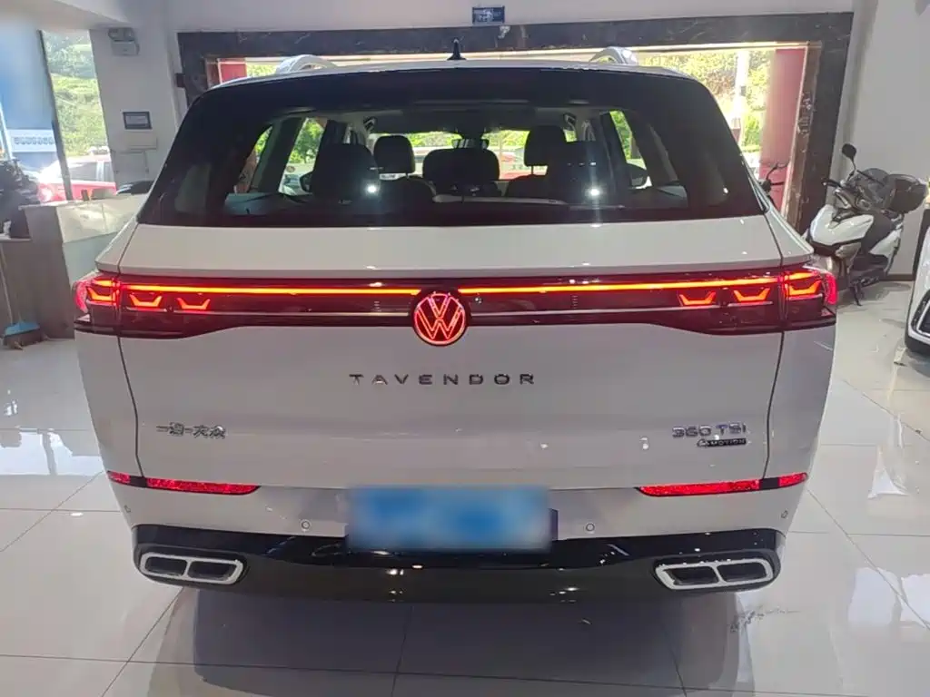 Volkswagen Tavendor — миниатюра 6