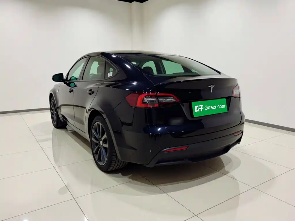 Tesla Model Y — миниатюра 4