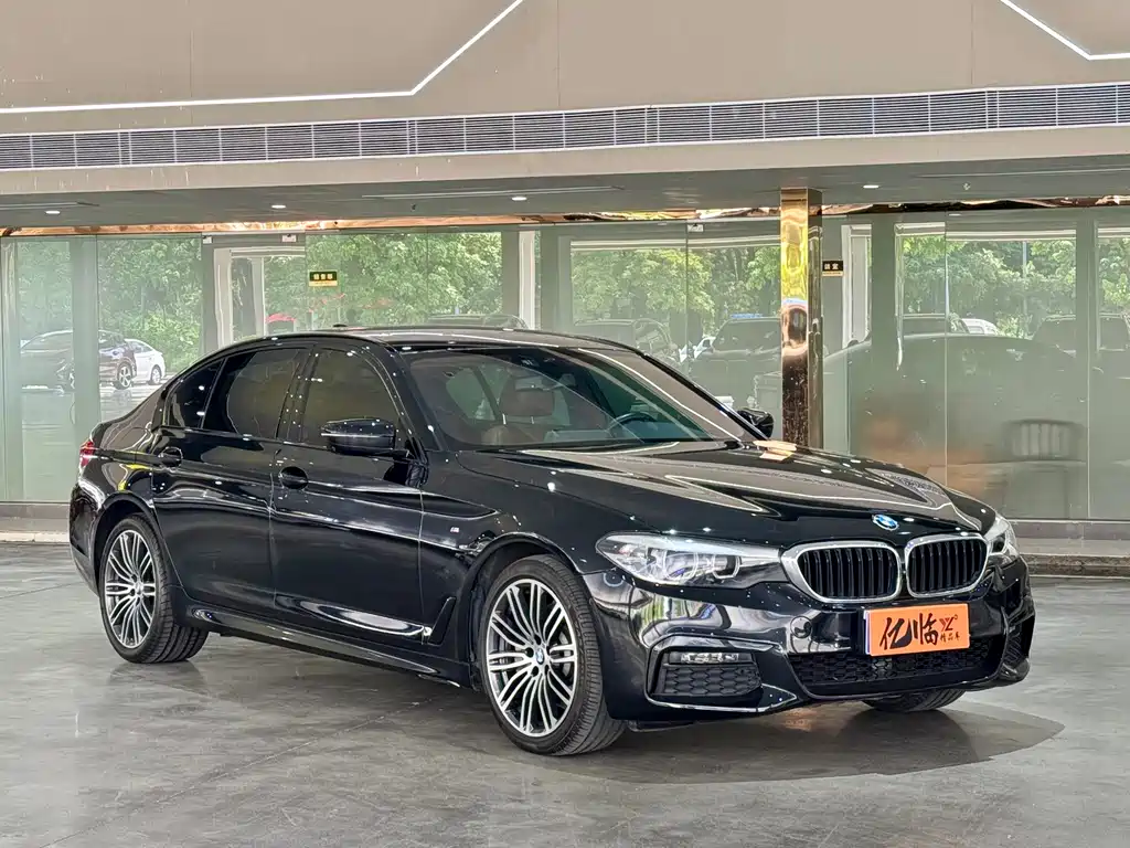 BMW 5 Series — миниатюра 3