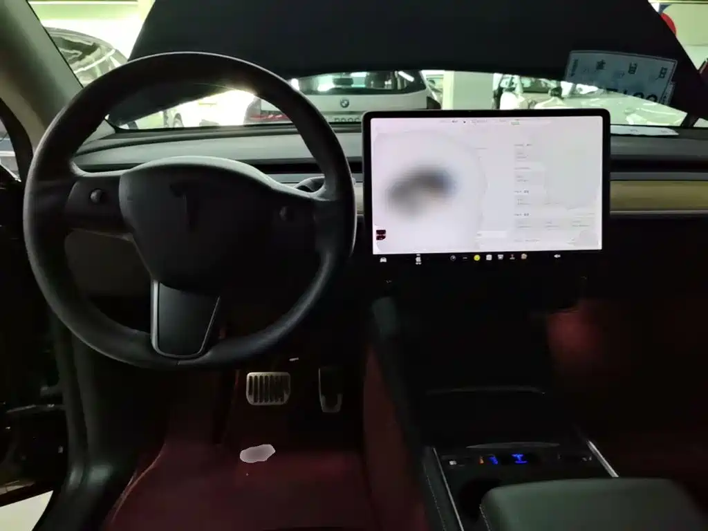 Tesla Model Y — миниатюра 10