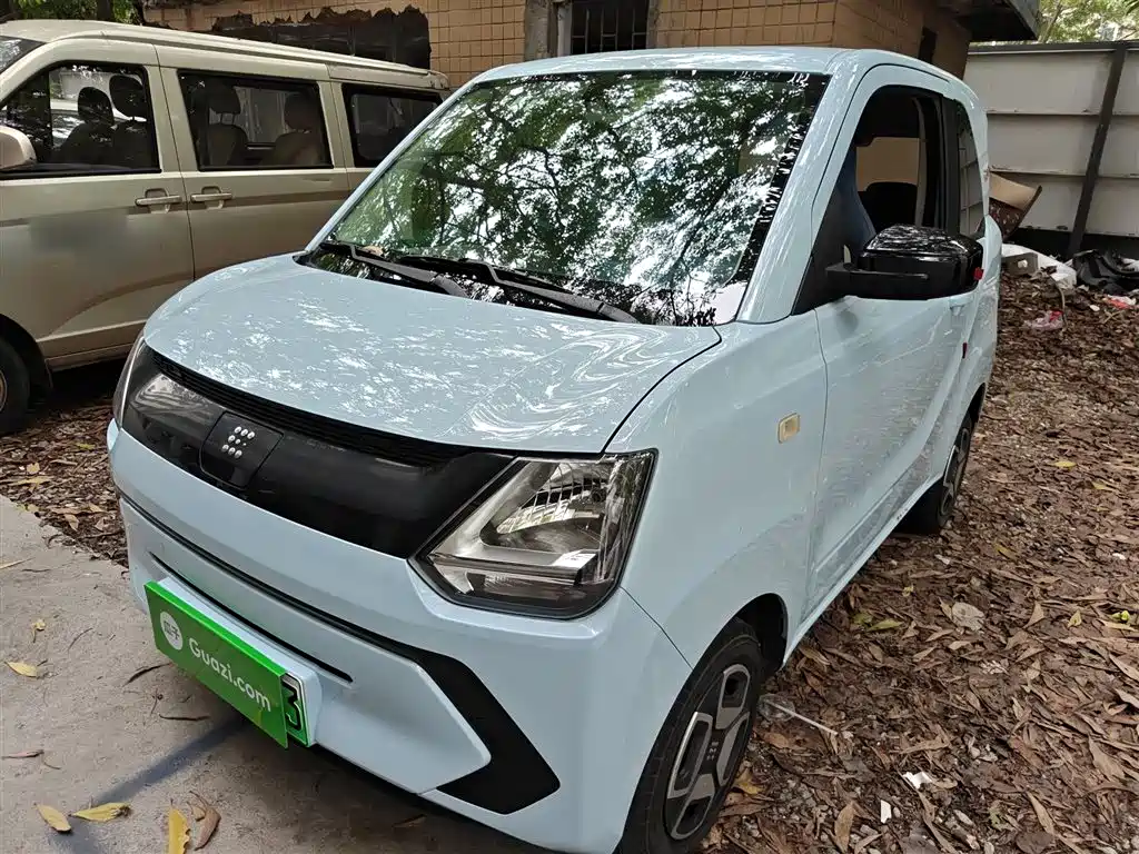 Fengguang Fengguang MINIEV 2024