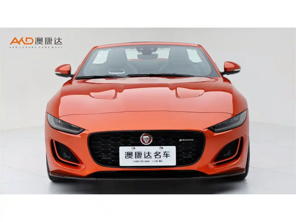 Jaguar F-TYPE — миниатюра 2