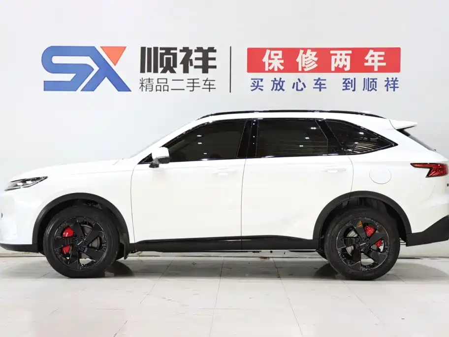 Haval H6L 2.0T Max, фото 6