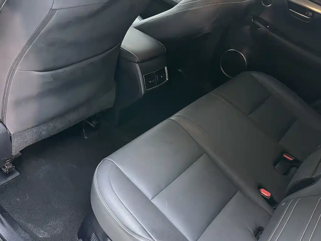 Lexus NX — миниатюра 29
