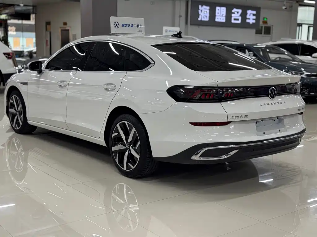 Volkswagen Lamando — миниатюра 8