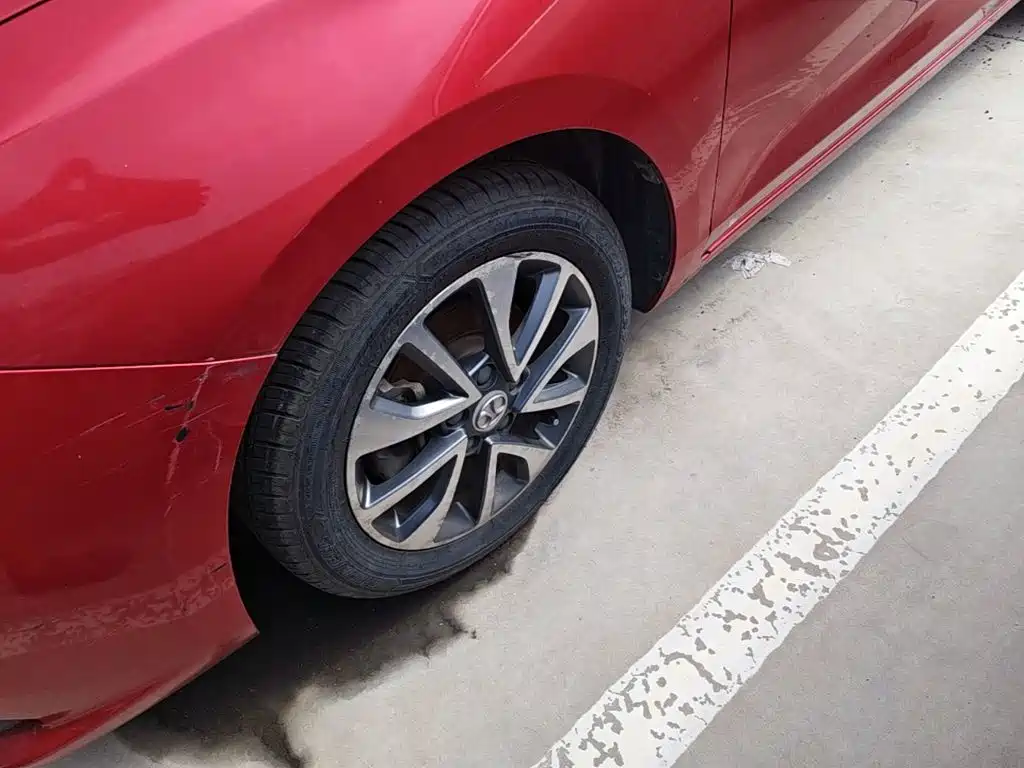BAIC Senova D50 — миниатюра 23