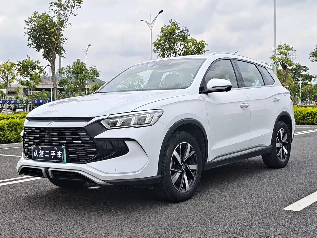 Byd Pro New Energy 2023
