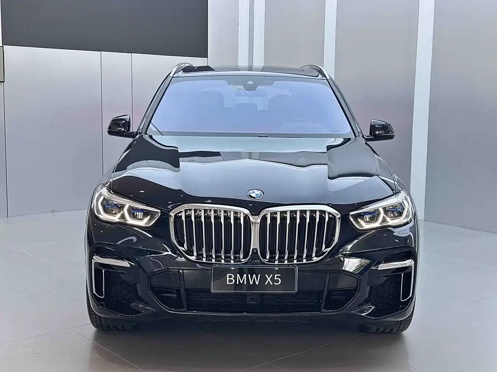 BMW X5 — миниатюра 2