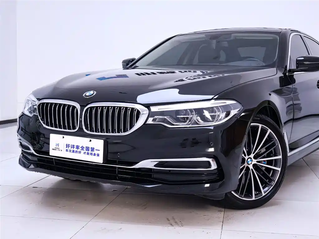 BMW 5 Series 5 2020 530Li Executive Luxury