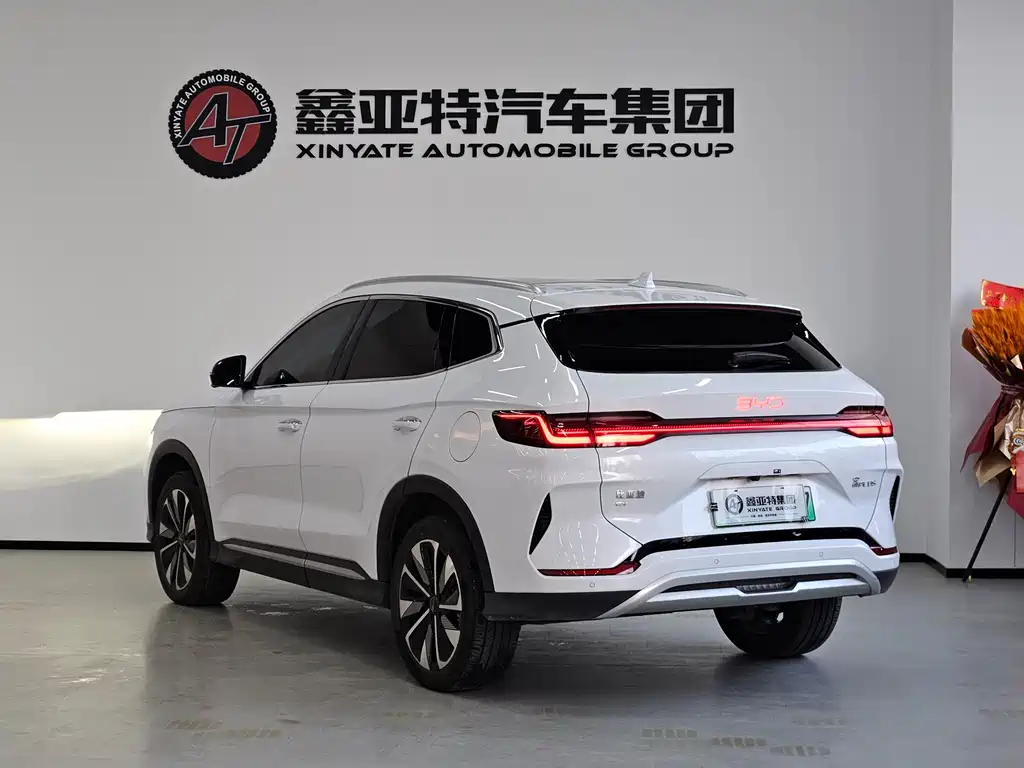 BYD SONGJIANG NEW ENERGY