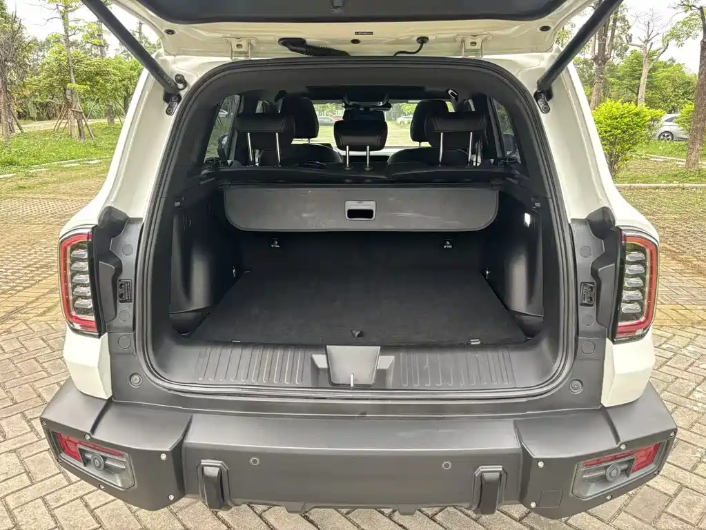 Haval Dargo 2.0T DCT 4WD Chinese Rural Dog Hunting Edition, фото 17