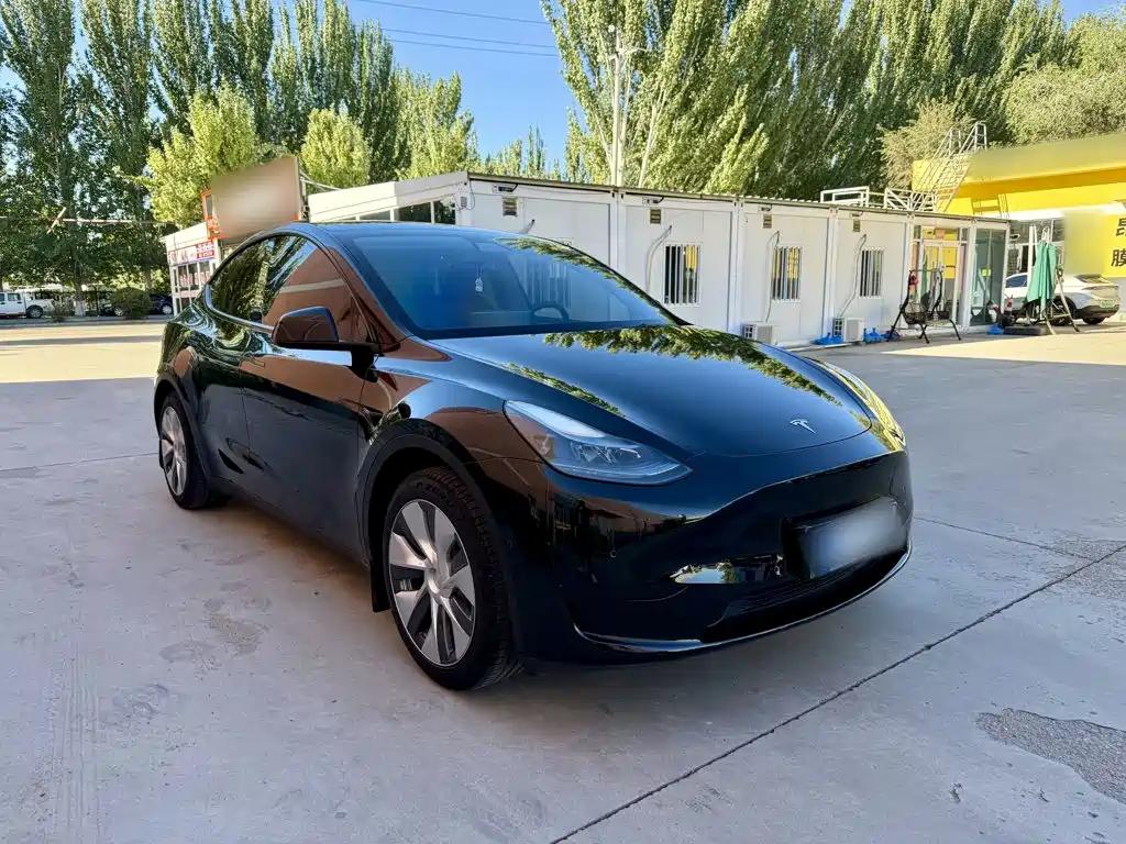 Tesla Model Y — миниатюра 4