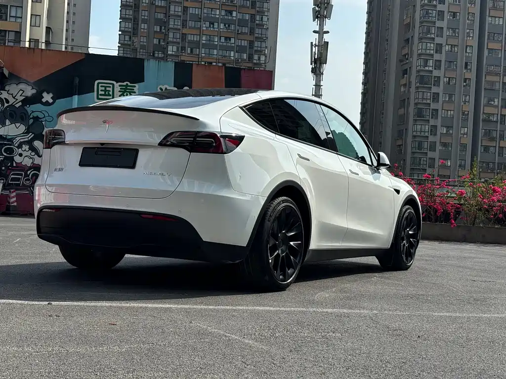 Tesla Model Y — миниатюра 4