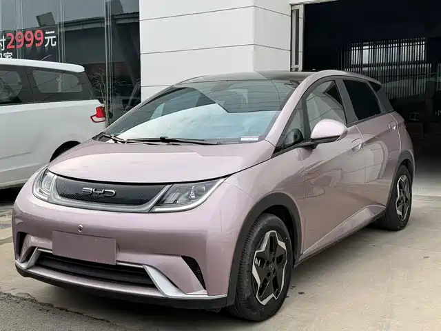 2022 BYD Dolphin