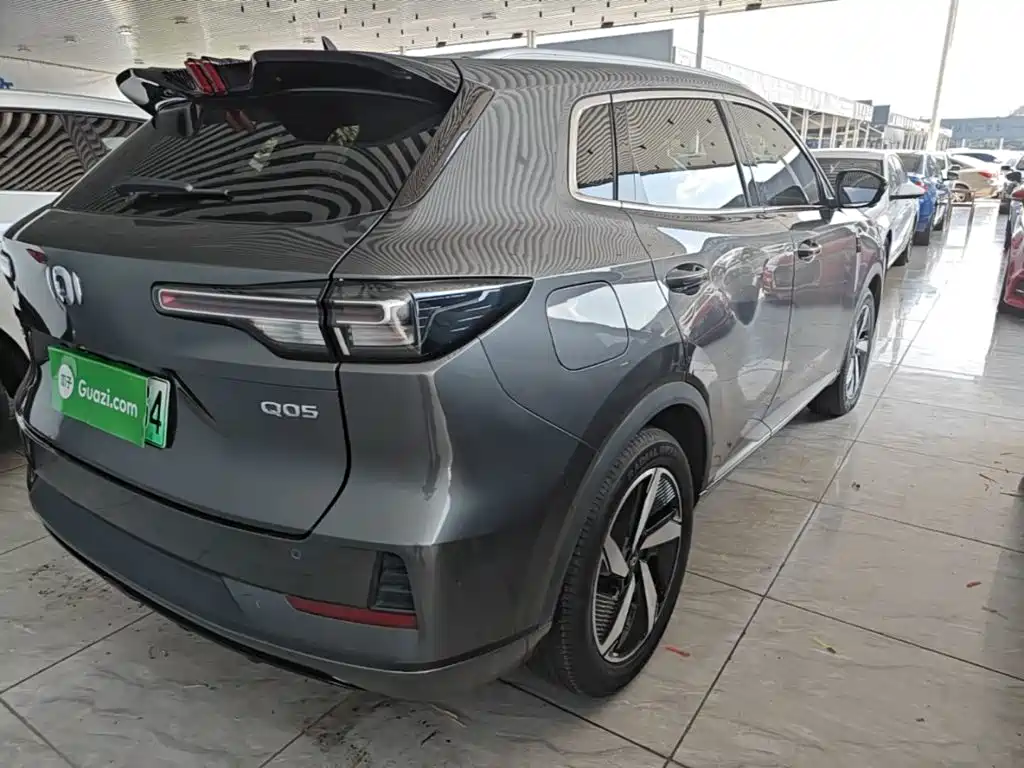 Qiyuan Чанг Ан Кай Q05 классика. — миниатюра 7
