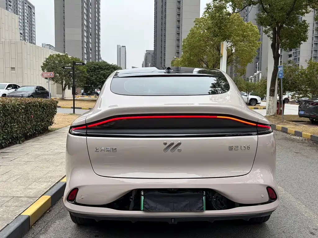 ZHIJI AUTOMOBILE ZHIJI LS6