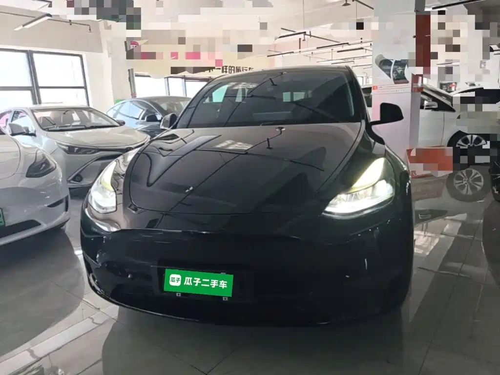 Tesla Model Y — миниатюра 3