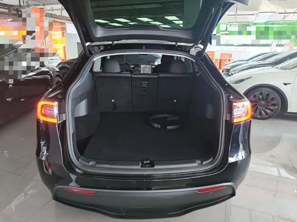 Tesla Model Y — миниатюра 19