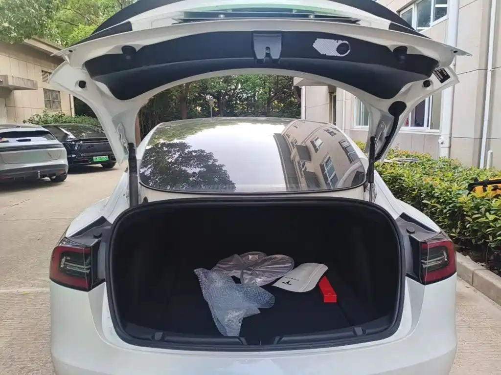 Tesla Model 3 — миниатюра 19