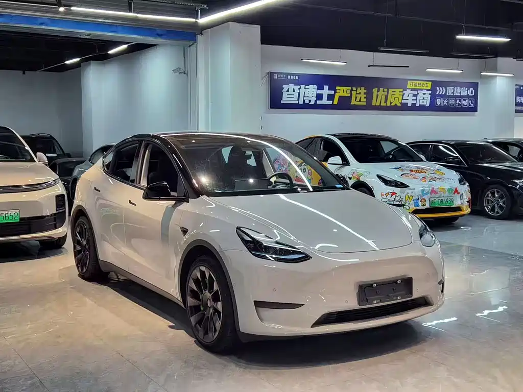 Tesla Model Y — миниатюра 3