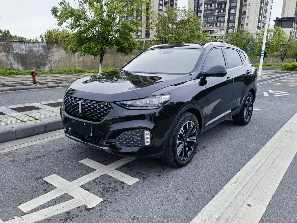 Wey Wey VV6 2020