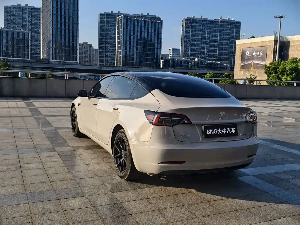 Tesla Model 3 — миниатюра 5