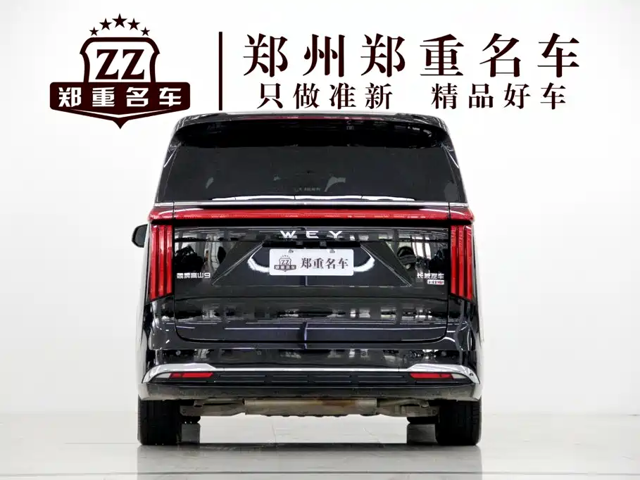 Wey 魏牌 高山新能源 — миниатюра 6