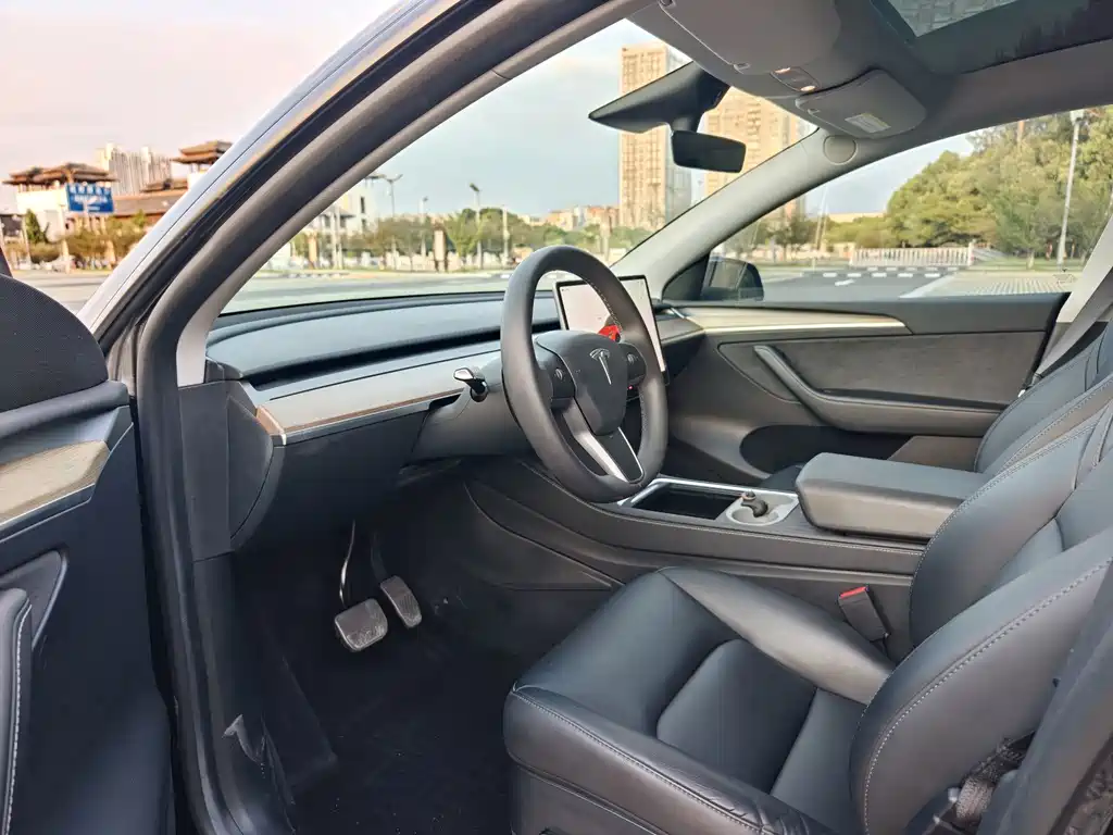 Tesla Model Y — миниатюра 6