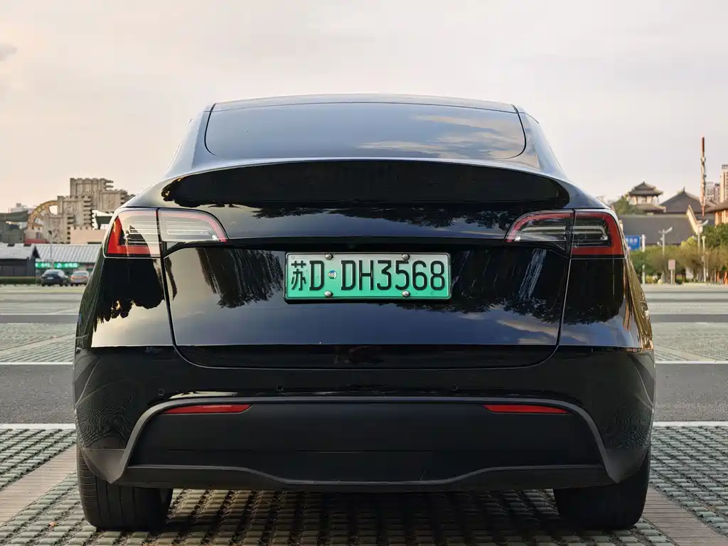 Tesla Model Y — миниатюра 4