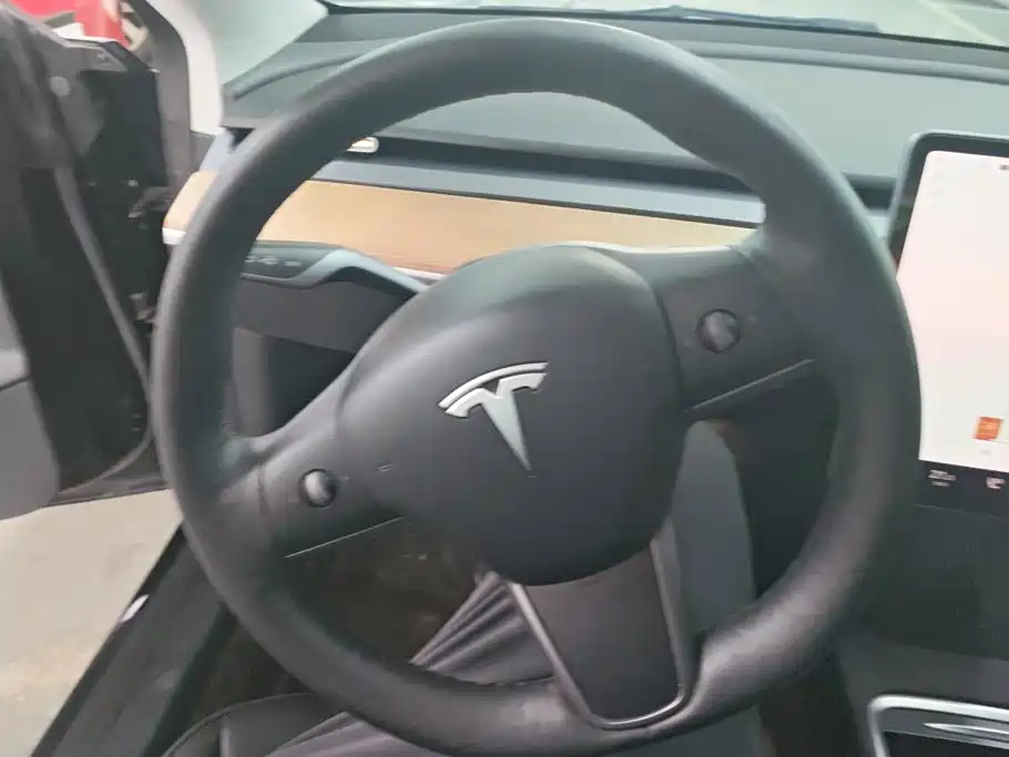 Tesla Model 3 — миниатюра 15