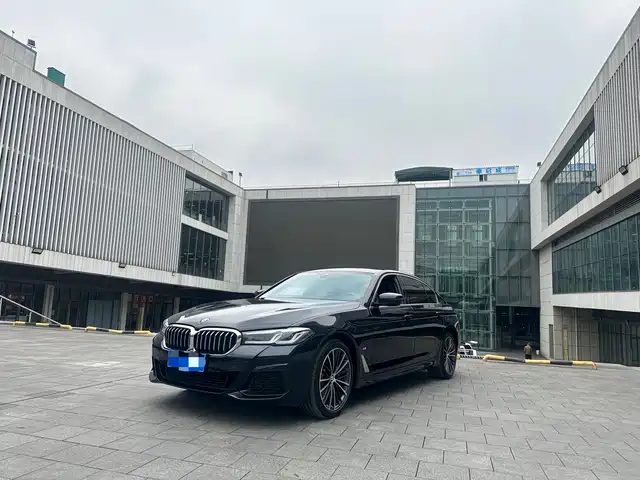 BMW 5 SERIES