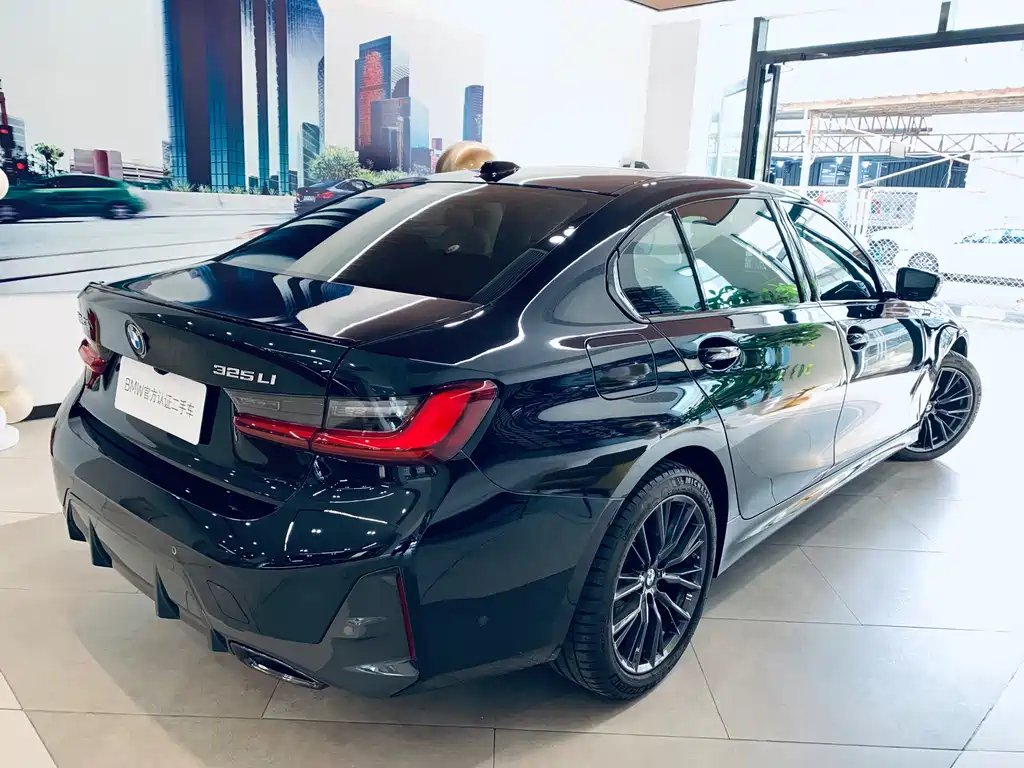 BMW 3 Series — миниатюра 2