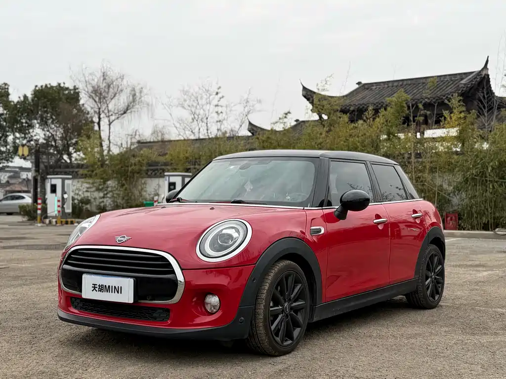 Mini Mini 2018