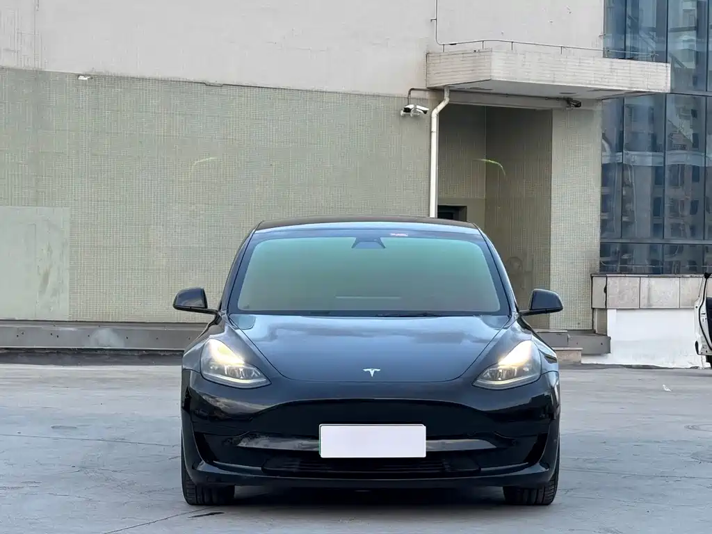 Tesla Model 3 — миниатюра 2