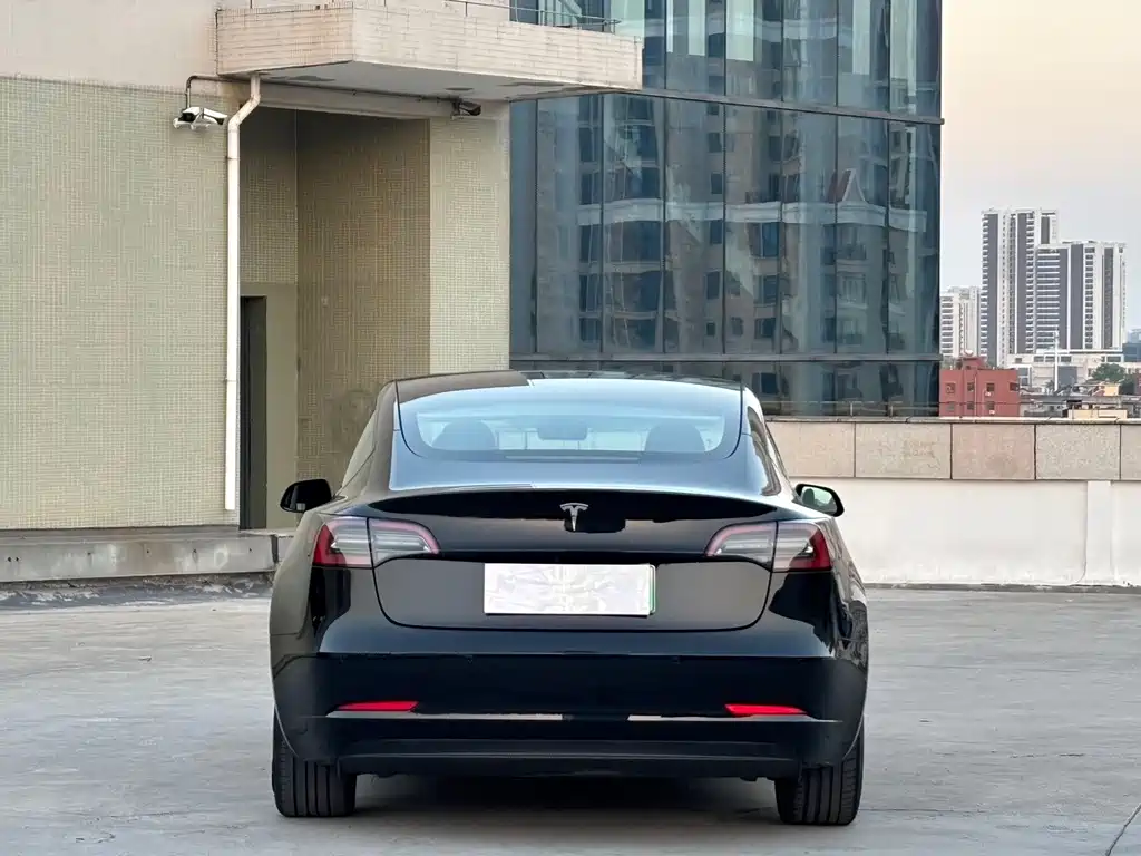 Tesla Model 3 — миниатюра 11