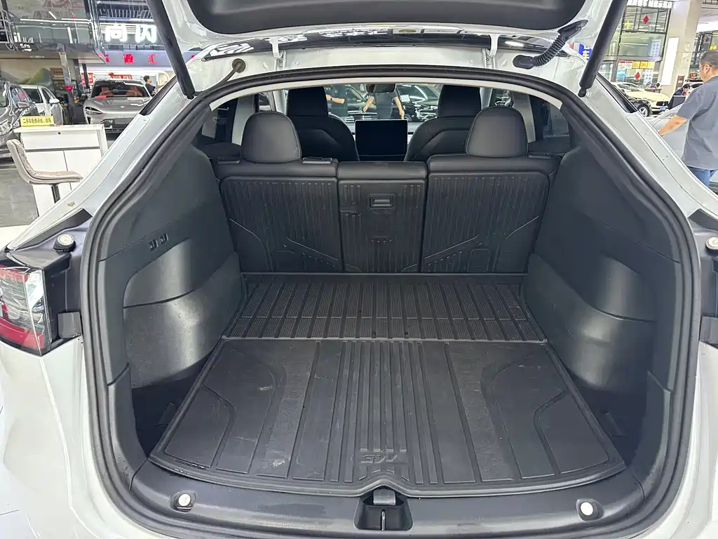 Tesla Model Y — миниатюра 15