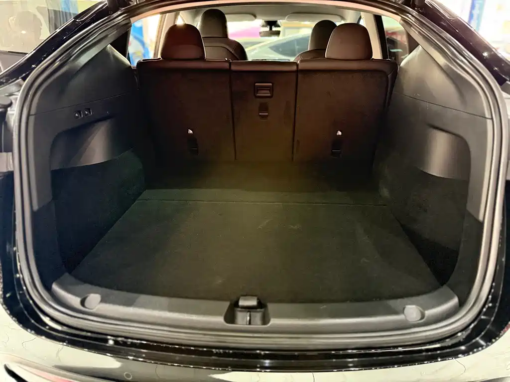 Tesla Model Y — миниатюра 16